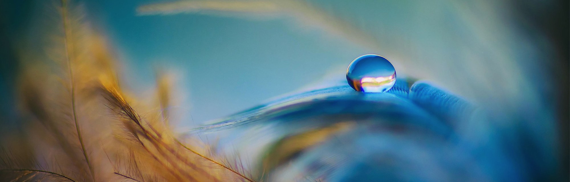 Een zakelijke coaching sessie wat privé meer balans geeft