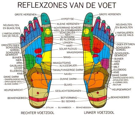 Maandag 3 november n doemiddag voetreflexologie in Huizen. Maandag 3 november n doemiddag voetreflexologie in Huizen.